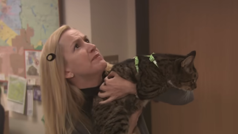Angela iz serije 'The Office' je otkrila svoju omi