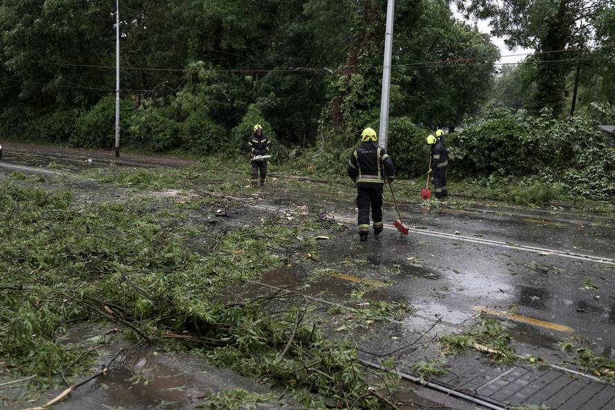 Zagreb: Palo stablo na Maksimirskoj, blokiran promet, vatrogasci na terenu