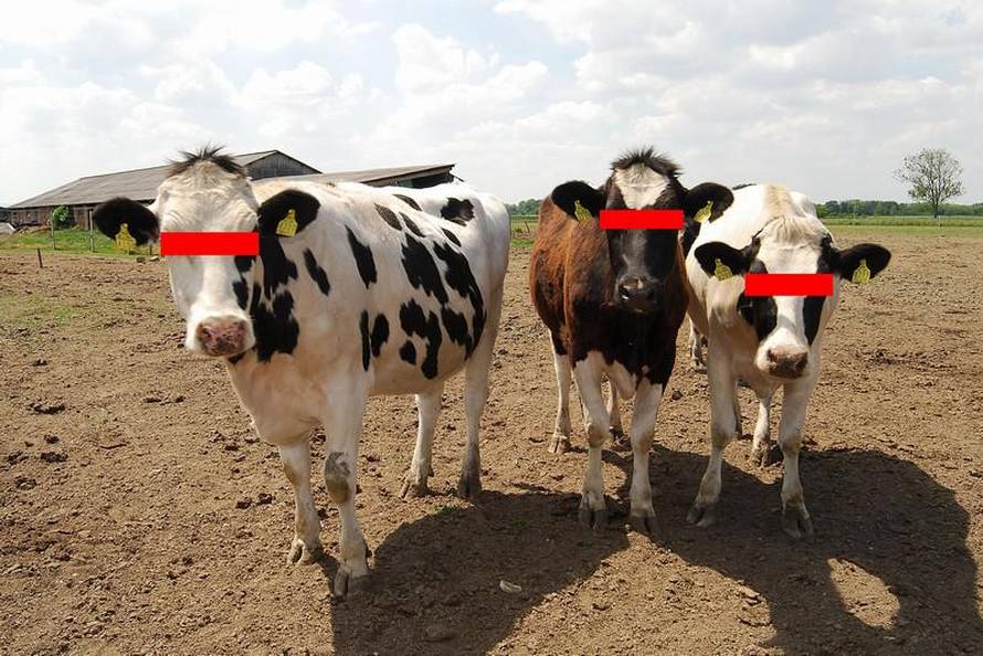 Vjeran Žganec-Rogulja/Večernji list