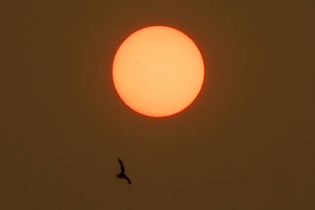 Canadian wildfire smoke blankets New York City