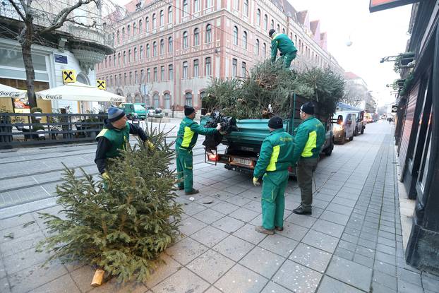 Zagreb: Počeo odvoz odbačenih borova