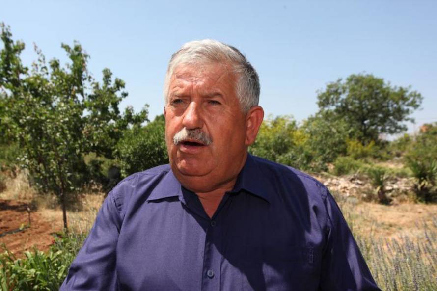 Željko Mršić/PIXSELL