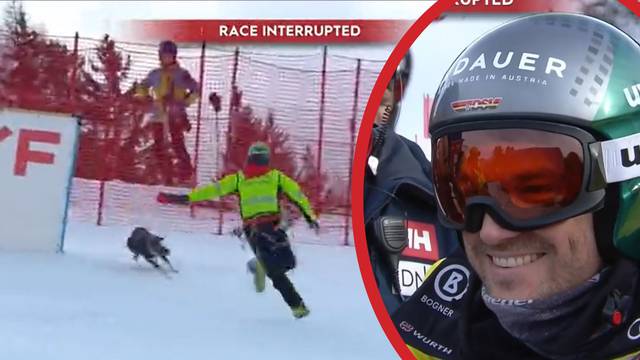 VIDEO Ljudi, pa ja mogu i bez skija! Pas prekinuo utrku, jurio stazom i bježao od redara...