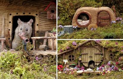U svom vrtu izgradio je dom za divlje miševe: Imaju malo selo!