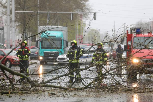 Zagreb: Zatvorena Vukovarska ulica  u smjeru zapada radi uklanjanja stabla