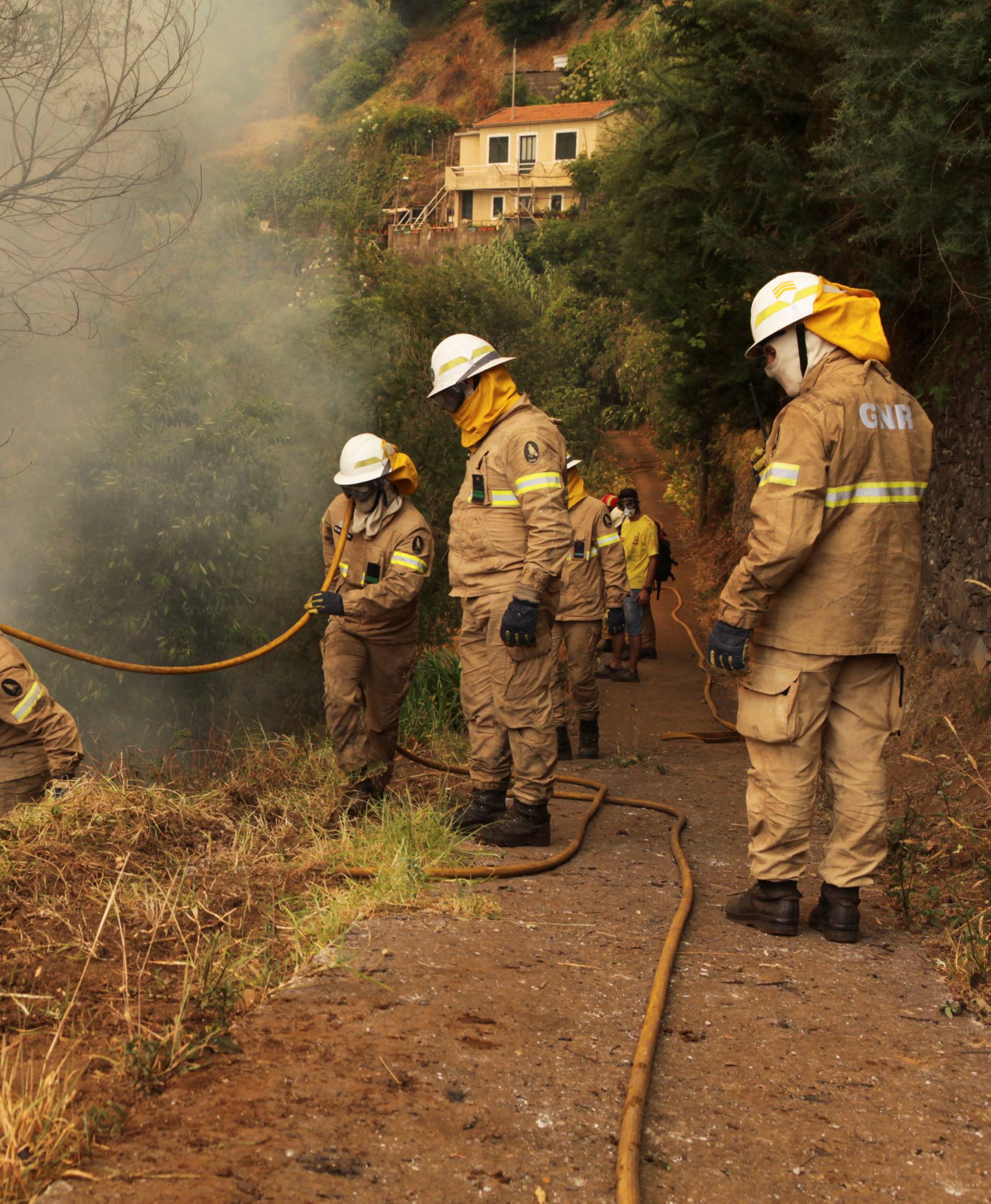 Firefighters try to extinguish a forest fire near houses at Sao Joao Latrao, Funchal, Madeira island