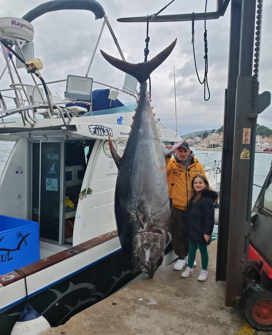 Ulovili zaštićenog morskog psa kod  otočića u Dalmaciji: 'Borili smo se dva sata i oslobodili ga'