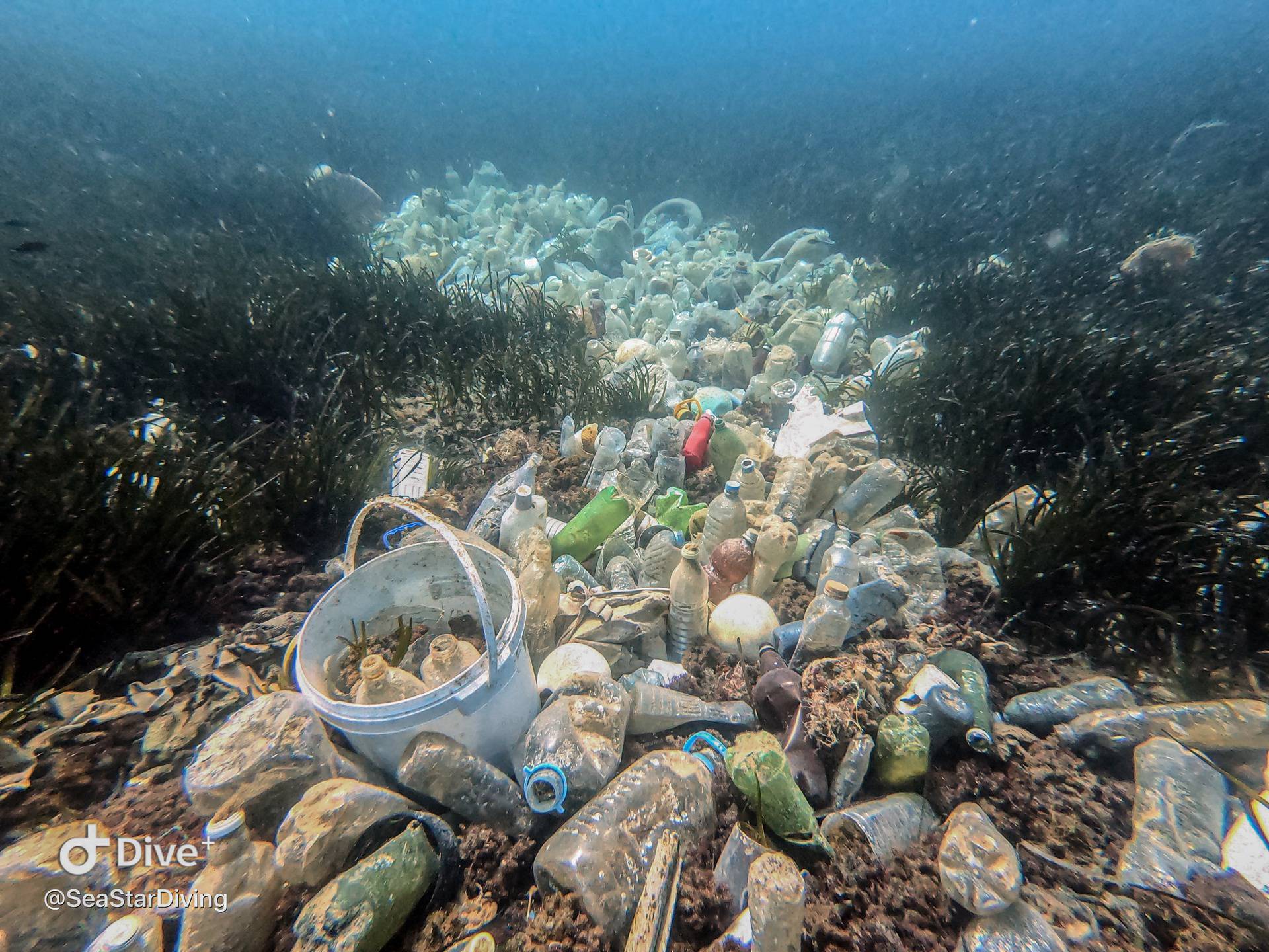 Dramatični prizori: Podmorje nam ubija plastika iz susjedstva