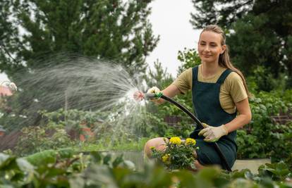 Radovi u vrtu u kolovozu: Sade se jagode, a skupljaju tikvice