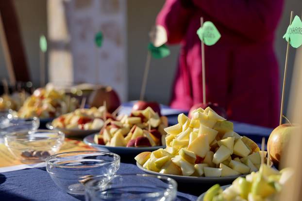 Benkovac: Benkovački sajam