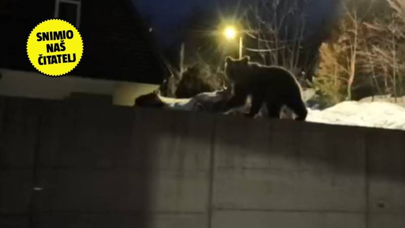 VIDEO Neobičan gost u Gorskom kotaru: 'Medo je htio dograbiti hranu, ali boji se pasa u vrtu'