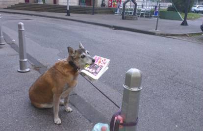 'Ne dam ti novine': Pas nije puštao svoj primjerak 24sata