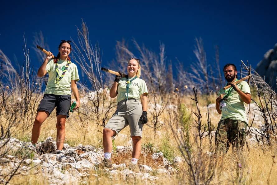Krenula osma sezona Boranke, nastavljeno pošumljavanje požarišta na Biokovu