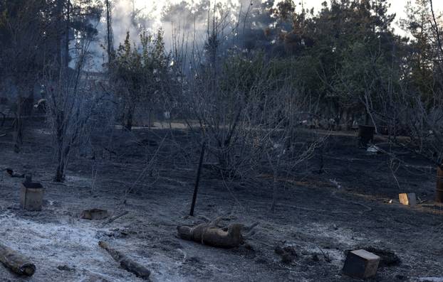 Wildfire burns near the village of Liti