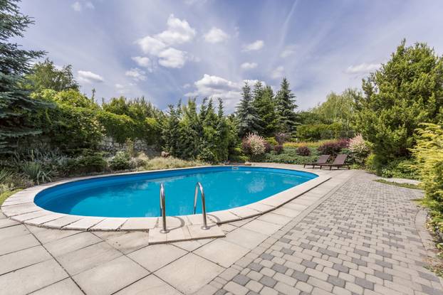 Oval,Swimming,Pool,In,A,Garden,Area,,Surrounded,By,Plants