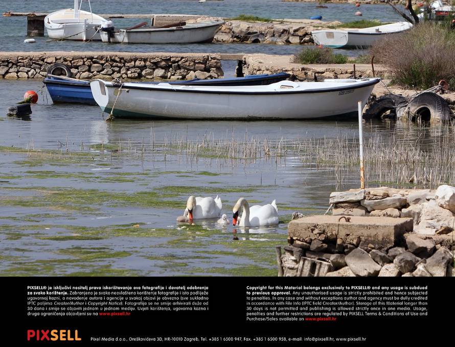 Duško Jaramaz/Pixsell