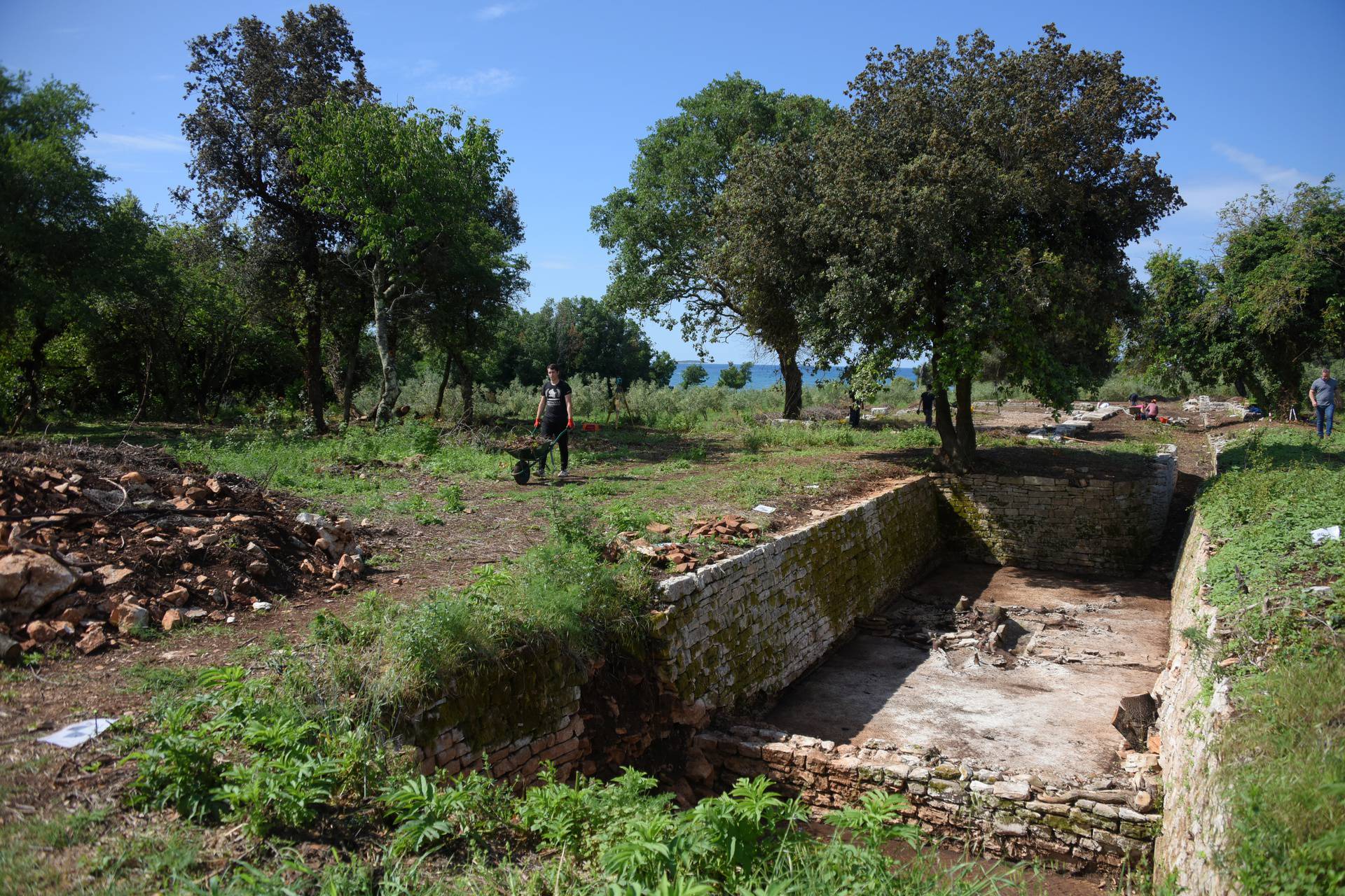 Barbariga: Kraj Barbarige otkriveni ostaci impozantne anticke uljare