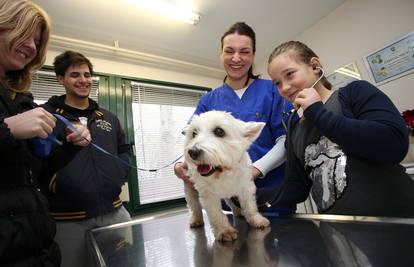 Na jedan dan, Kim je postala veterinarka