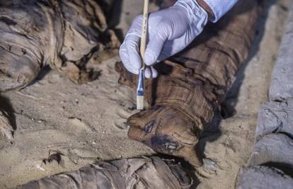 Stari i do 6000 godina: Našli mumificirane mačke i hrušteve