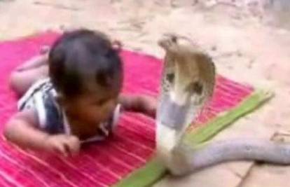 Jednogodišnjaka u Indiji obredno grizla kobra