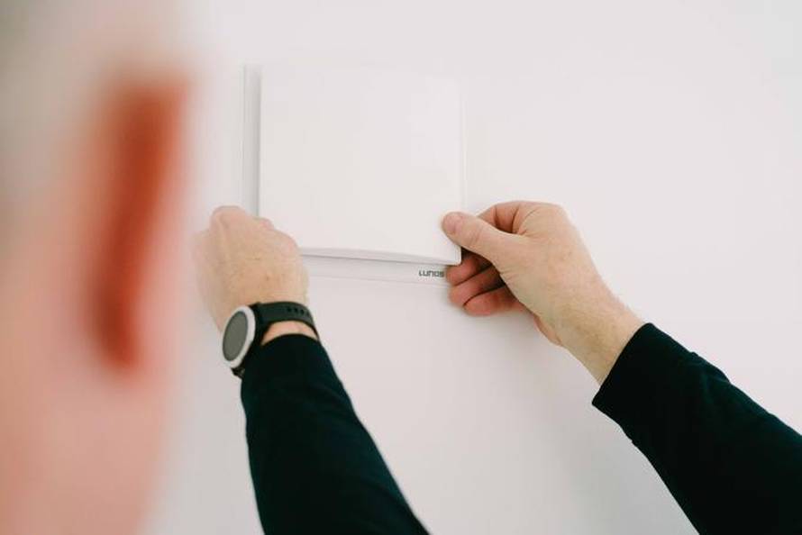 Primijetili ste ove bube u svom domu? Evo što trebate učiniti