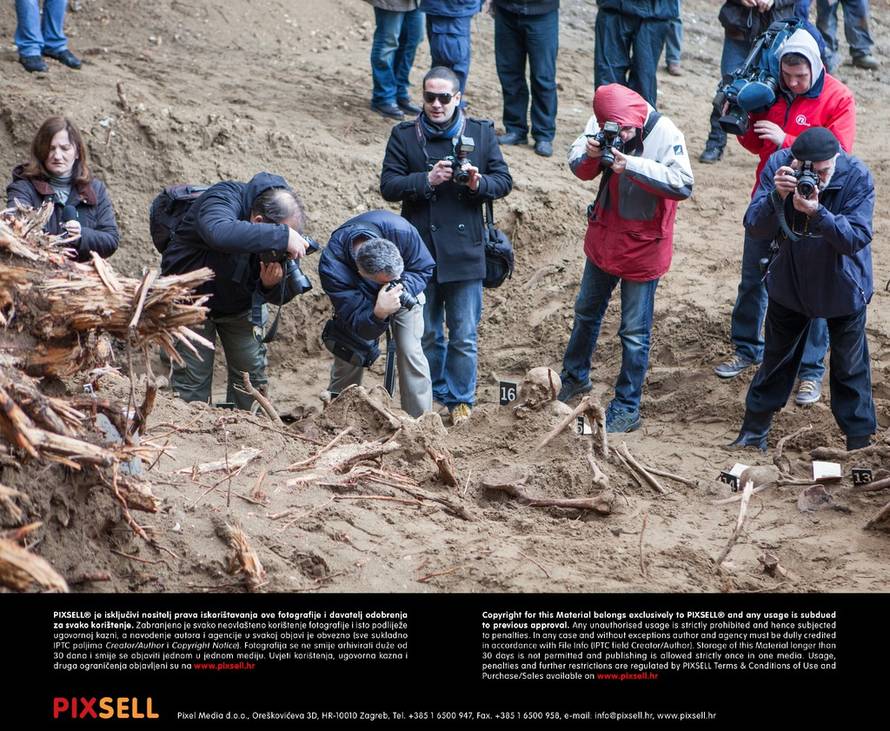 Grgo Jelavić/PIXSELL