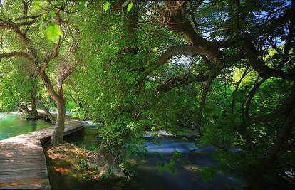 Otkrijte rijeku Krku s njezinim svim čarima: Discover Krka