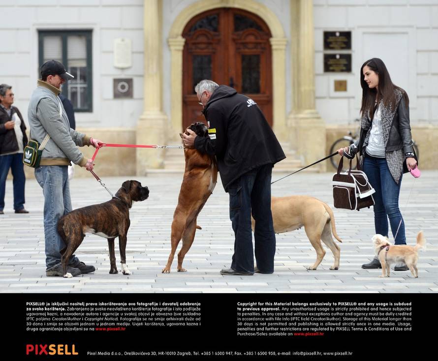 Marko Jurinec/Pixsell