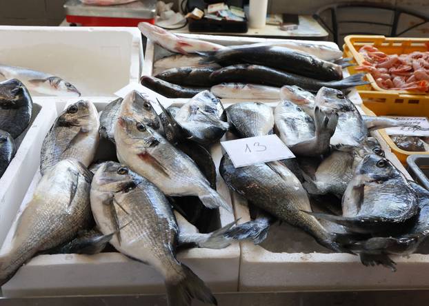 Šibenik:Bogata ponuda ribe na sibenskoj ribarnici.