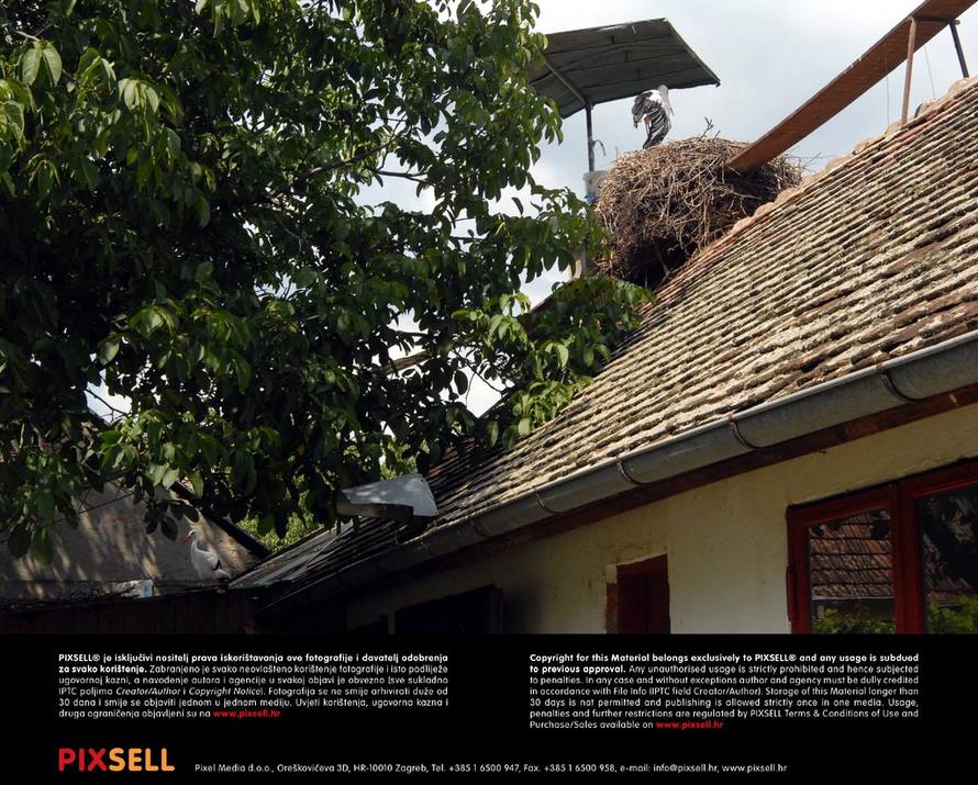 Ivica Galović/PIXSELL