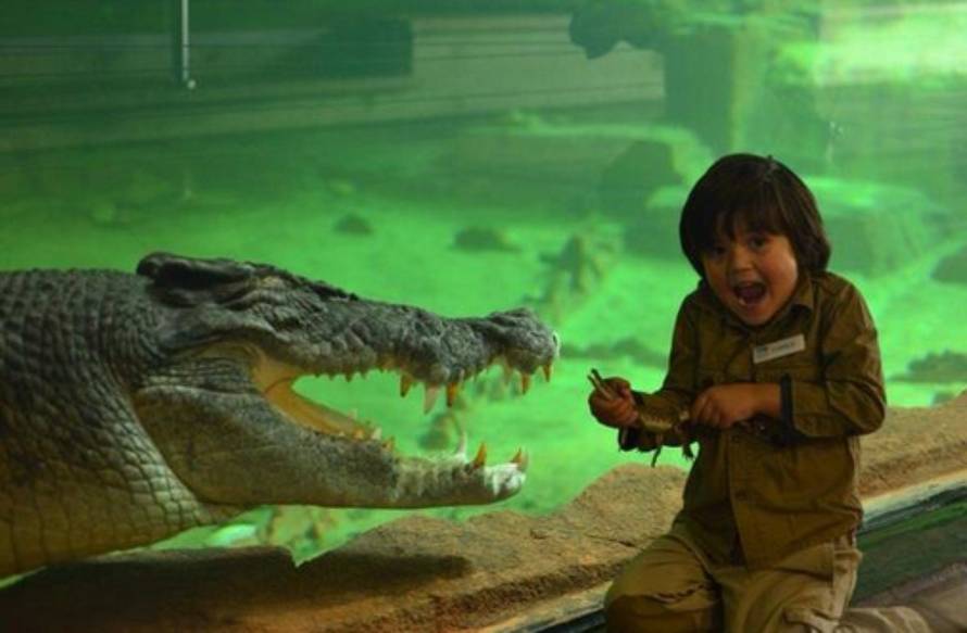 Ballarat Wildlife Park/Twitter