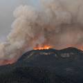 Španjolska: Požar uništio 4000 hektara šume, vatrogasci su spriječili da se ne proširi dalje