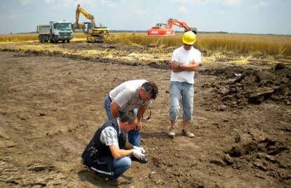 Radnici su kod Vukovara u polju iskopali ljudske kosti