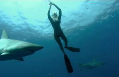 Nisu tako opasni: U bikinijima će roniti među morskim psima