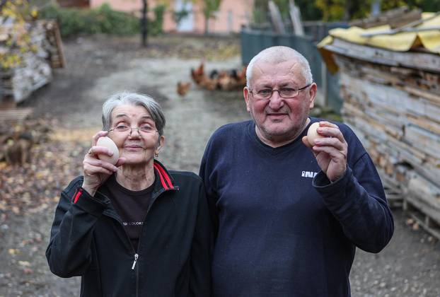 Velika Gorica: Suzana Filipančić ima kokoši koje nesu XXL jaja