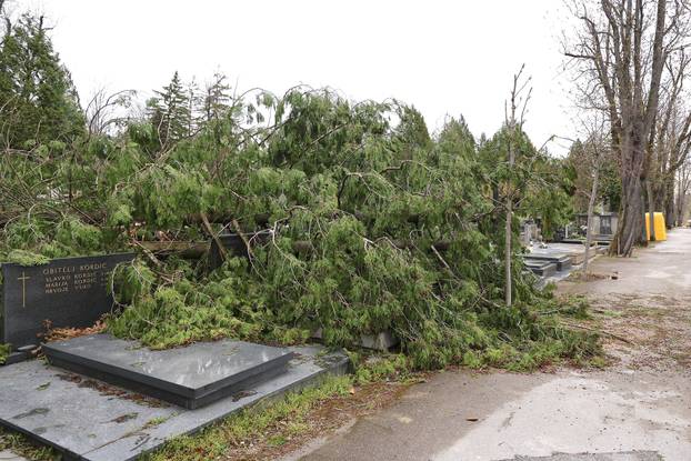 24sata Zagreb: Poljedice velikog nevremena na Mirogoju