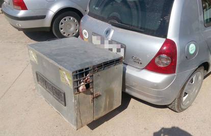Naljutio prolaznike: Po vrućini pse vozi u mini kavezu od lima 