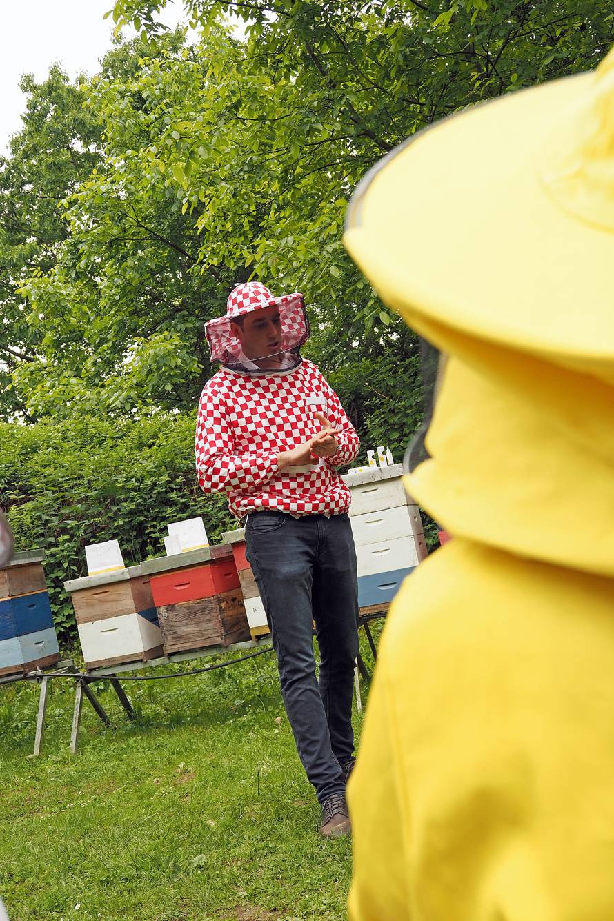 Od otrova mojih pčela radim kreme protiv bora i bolova