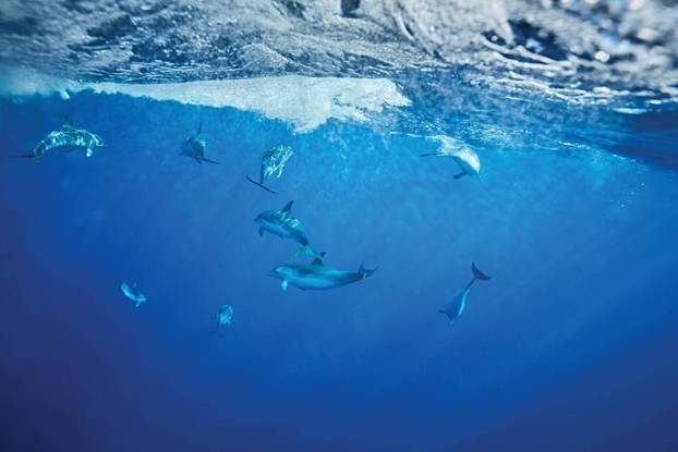 Havaji u Europi po zimi? Ovaj luksuzni hotel na Madeiri nudi bijeg od hladnoće