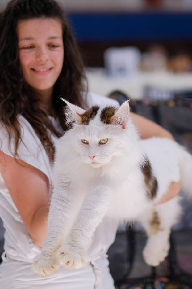 U Zagrebu je održana Međunarodna izlozba mačaka 