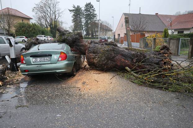 Zagreb: Nevrijeme srušilo stablo koje  je palo na automobil 