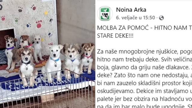 Pomozite preslatkim psima iz Noine Arke: Ako imate stare deke odnesite ih u sklonište