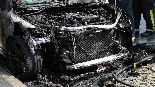 Na livadi na Peščenici izgorio auto bez registracijskih oznaka