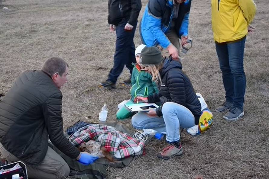 VIDEO SPAŠAVANJA Risovica je pala u rupu od tri i pol metra. Spasili su je i nazvali Marta