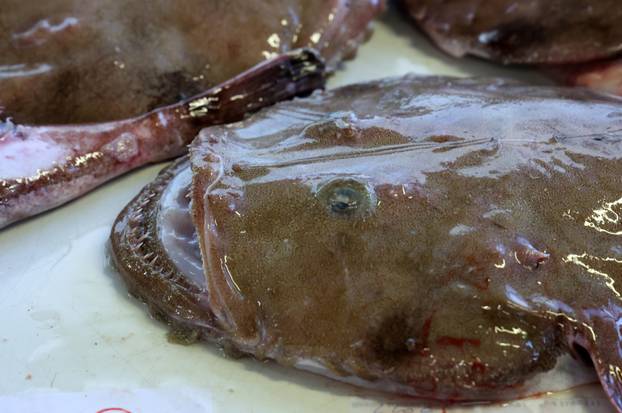 Šibenik: Ponuda ribe na šibenskoj ribarnici