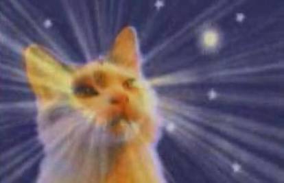 Mačke i psi na You Tube pjevaju blagdanske pjesme