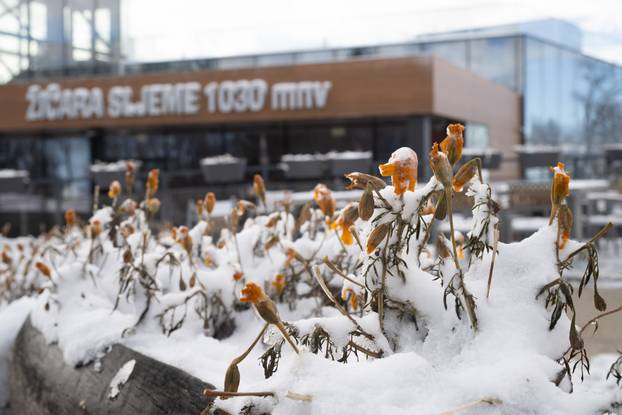 Zagreb: Snijeg zabijelio Medvednicu