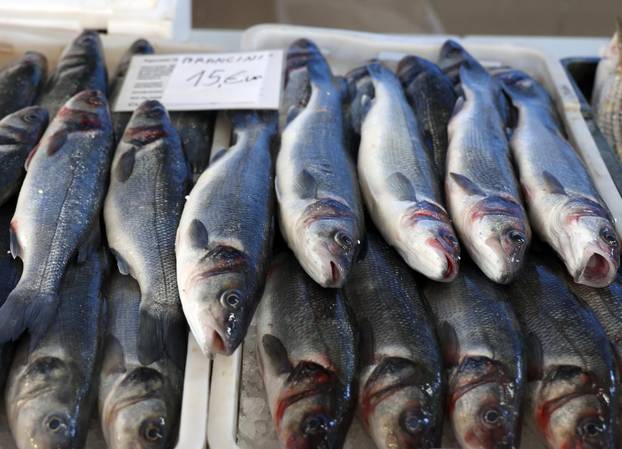 Šibenik: Ponuda na šibenskoj ribarnici