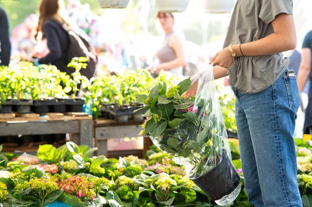 Zagreb: Brojni građani posjetili Floraart na Bundek