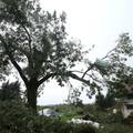 Štetu od olujnog nevremena u Čazmi procijenili na 60 mil. kn